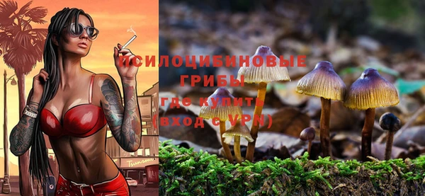 MESCALINE Аркадак