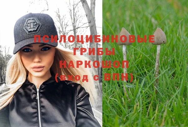 MESCALINE Аркадак