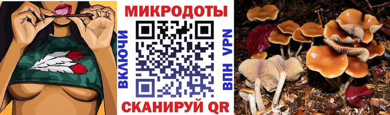 Псилоцибиновые грибы мухоморы  купить   Островной 